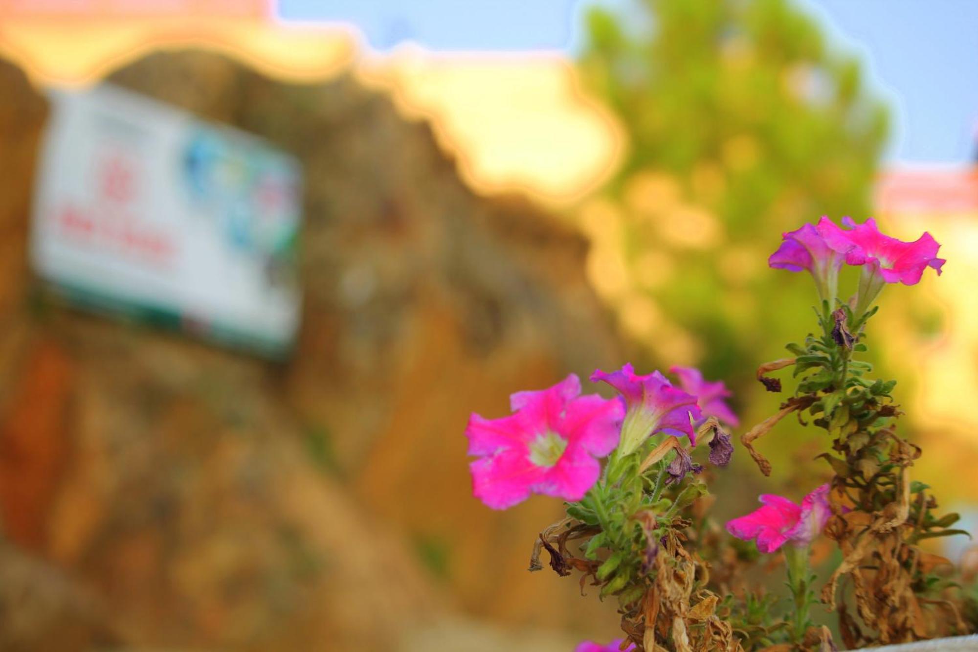 Red Rose Hotel & Resort Mansehra エクステリア 写真